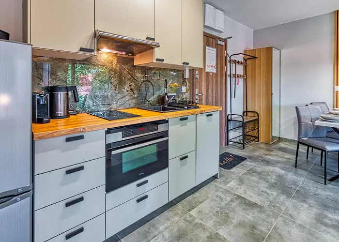 Z Basenem I Saunami Stone Hill Vip Centrum By Royal Aparts * Sklářská Poruba